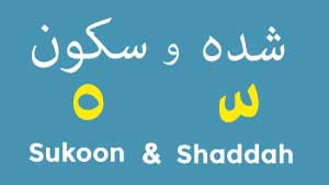 Learn Arabic sukoon and shaddah 